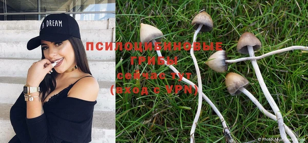 тгк Абинск