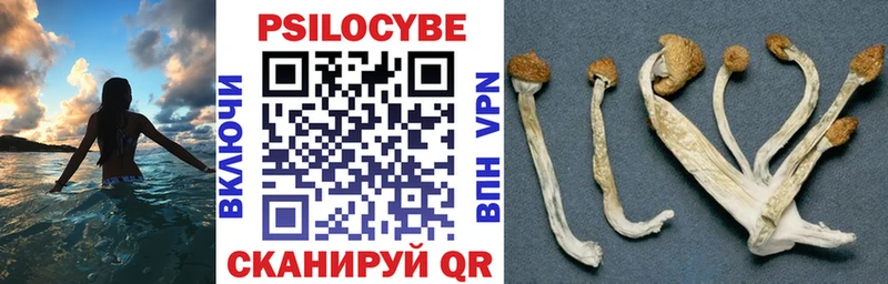 Галлюциногенные грибы MAGIC MUSHROOMS  Циолковский 